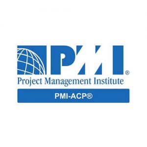 PMI Logo